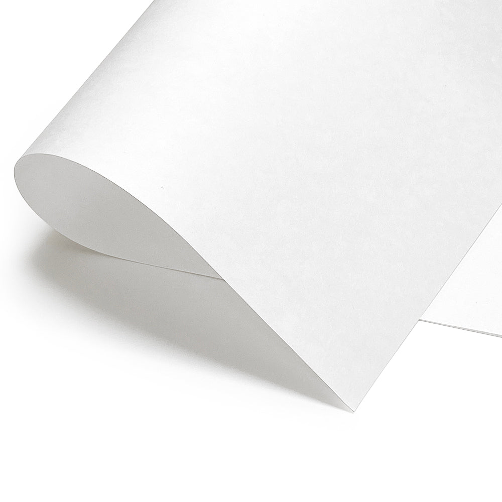 Roll of Awagami Masa Paper