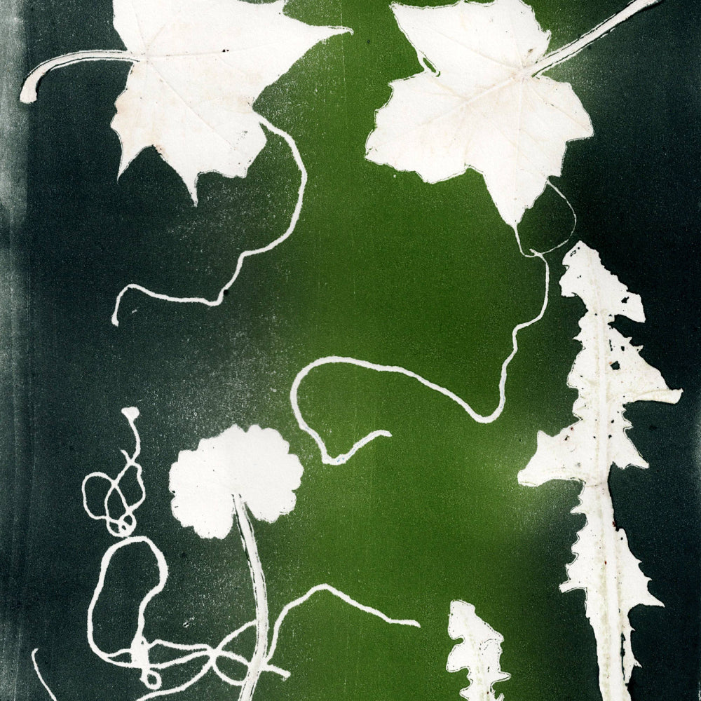 Monotype with Natural Materials