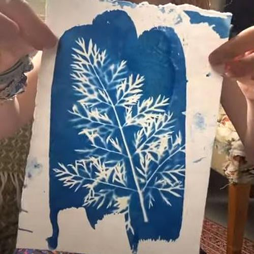 Cyanotype