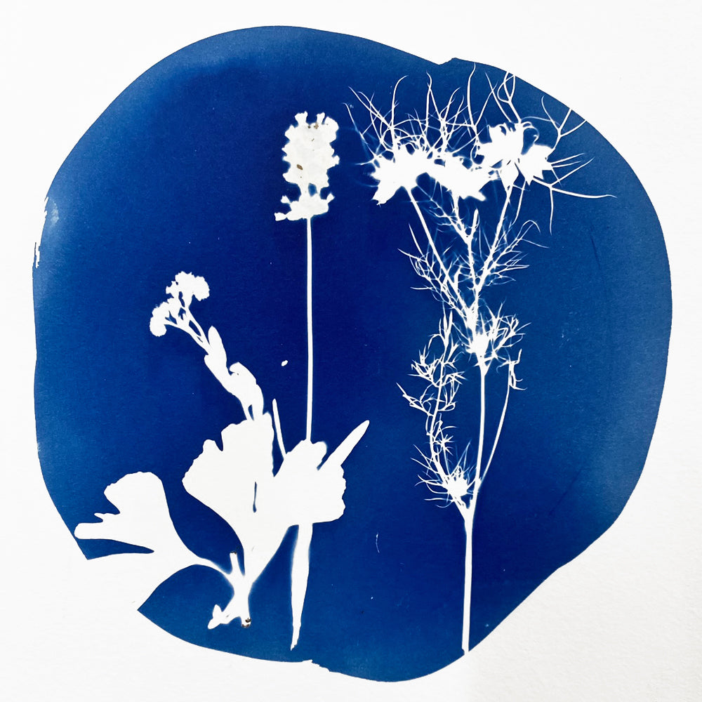 Cyanotype Bundle