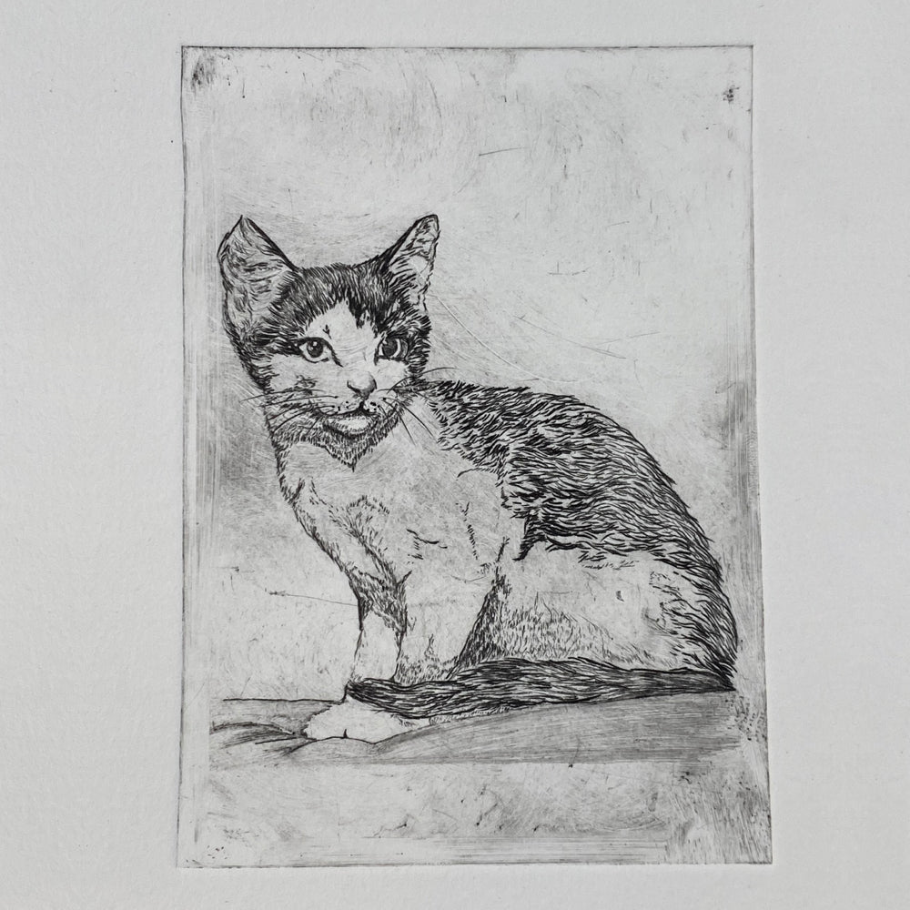 Fab Friday - Drypoint your Pet - 29th November 2024