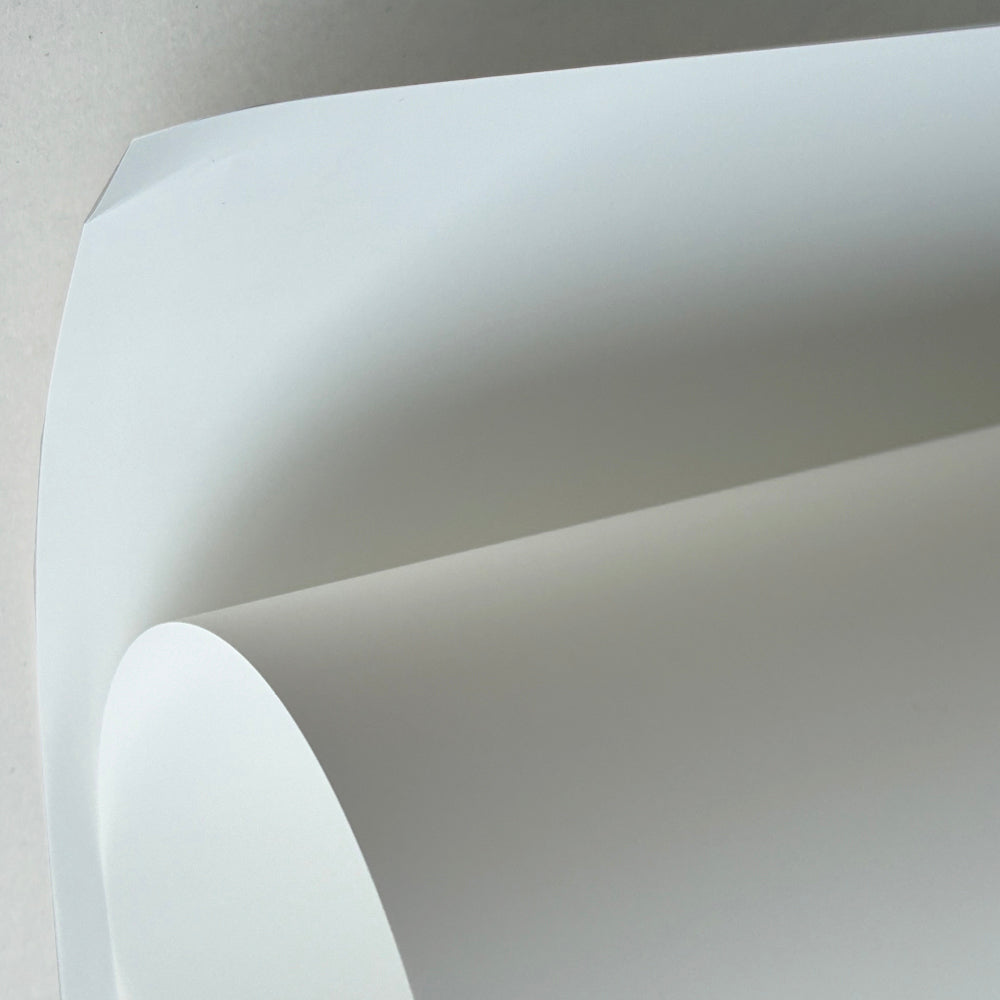 Imperfect Polyester Litho Plate (single sheet)