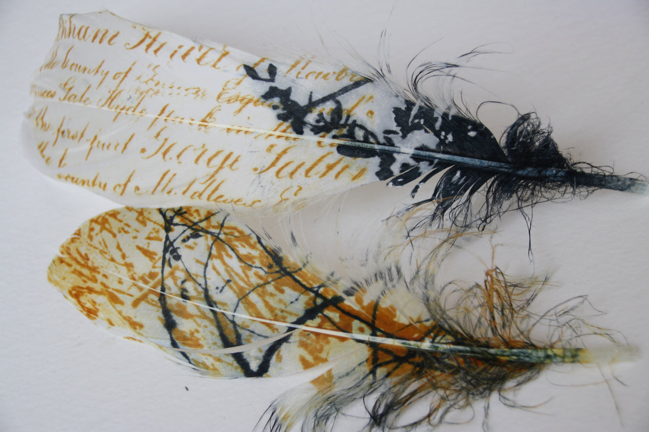 Printing with Nature with Sue Brown - 3 day course - Saturday 20th - Monday 22nd July 2024