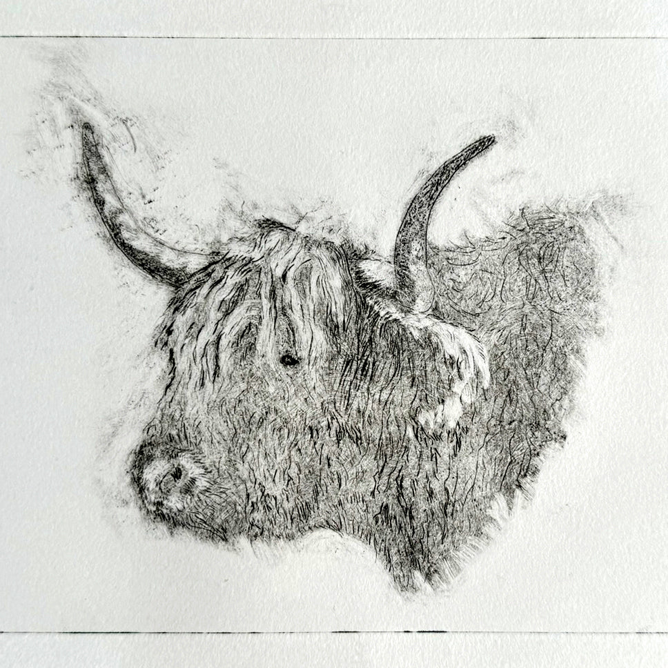 Fab Friday - Drypoint your Pet - 10th October 2025