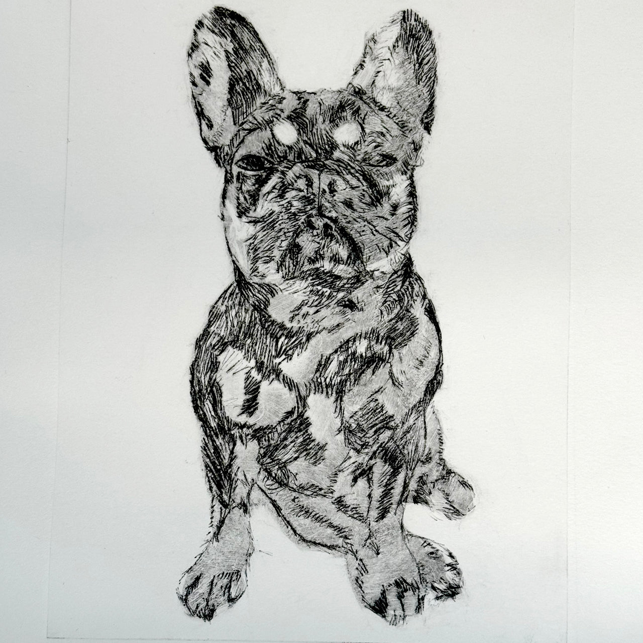 Fab Friday - Drypoint Pet Portrait- 4th Dec 2026