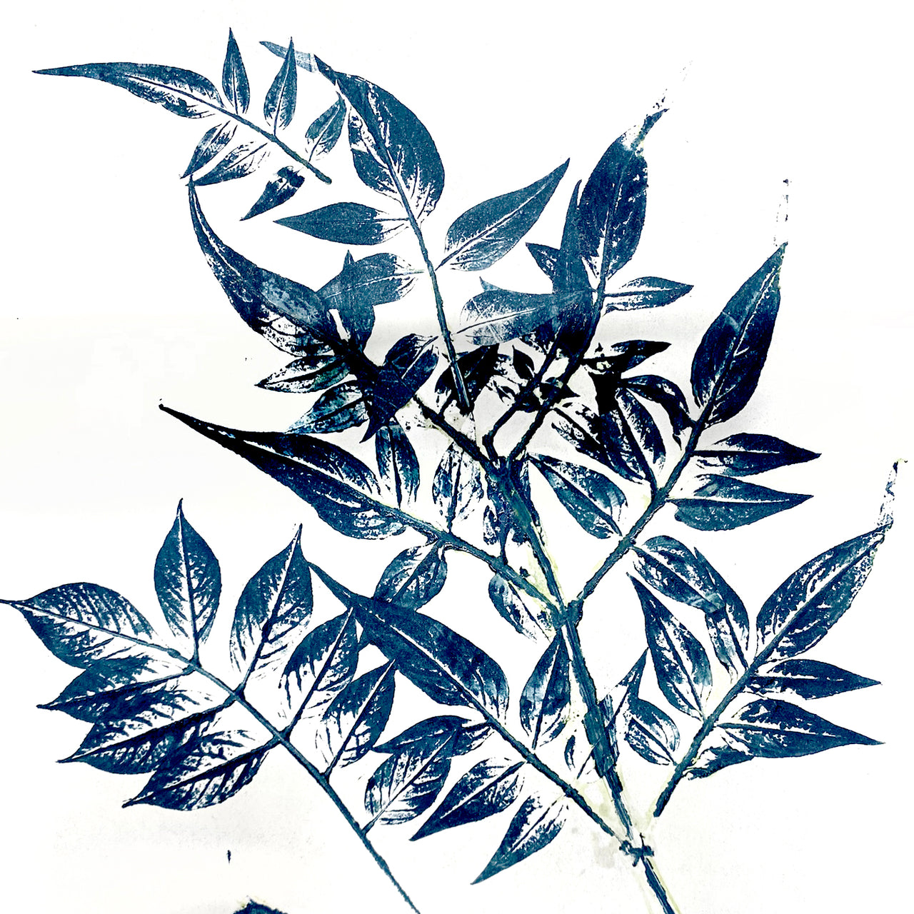 Fab Friday - Monotype with Natural Materials - 4th July 2025