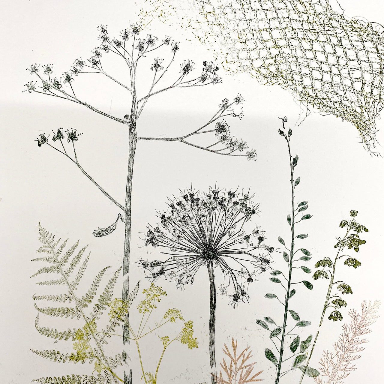 Fab Friday - Monotype with Natural Materials - 4th July 2025