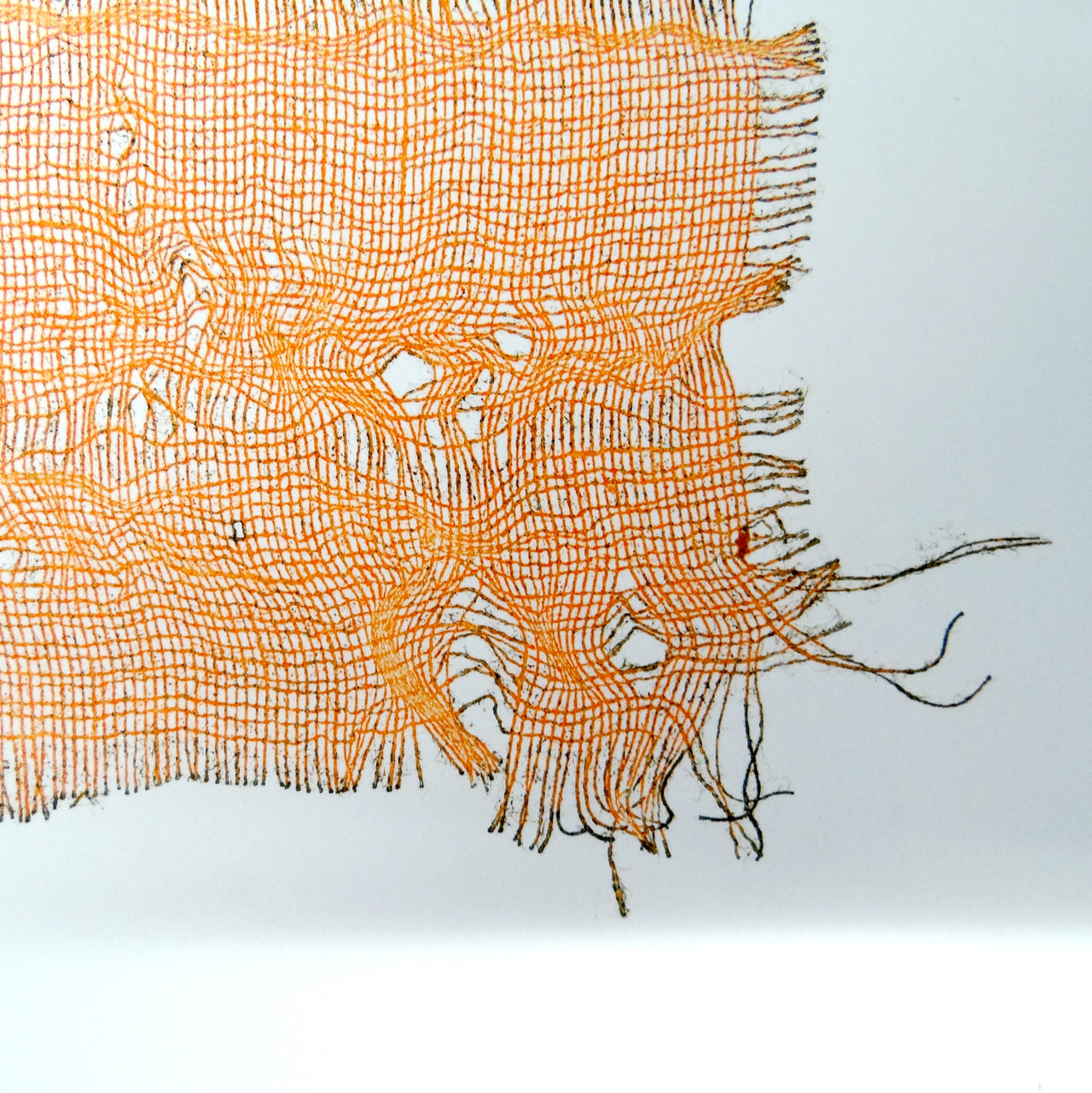 Fab Friday - Monotype with Natural Materials - 6th November 2026